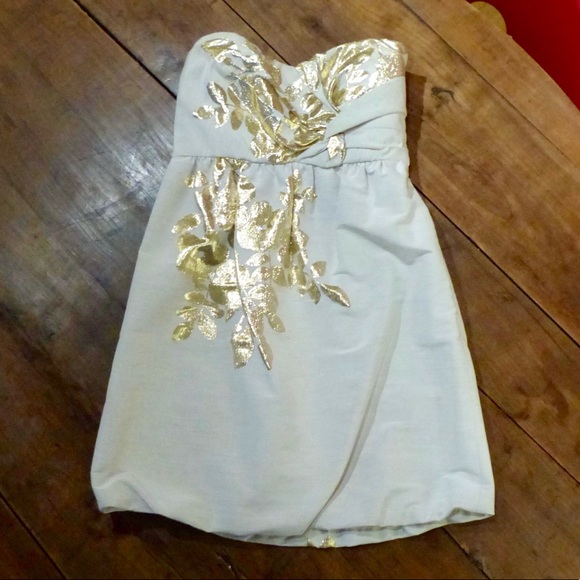TIBI DRESS - Beautiful Gold Detailing - Picture 1 of 8